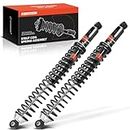 A-Premium Rear Pair (2) Complete Strut and Coil Spring Assembly Compatible with Ford F-150 F150 2009-2014, Driver and Passenger Side