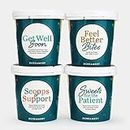eCreamery Get Well Soon 4 Pint Ice Cream Care Package Gift - Gourmet Specialty Handcrafted Ice Cream Shipped Right to their Door - Gluten Free Ice Cream Assortment with a variety of chocolate and vanilla based ice cream flavors
