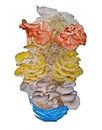 Mushroom Growing Kit, Pink, Gold & Blue Oyster, XL 1 Meter Long, Easy to Grow & Delicious to Eat, Including Living Spawn, Gardening Gifts - Foragers Table