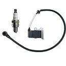 HEPENG Ignition Coil Module with Spark Plug Compatible with Husqvarna 502846401 CMR7H Fits 150BT 350BT 350BF Backpack Blowers , Replace 511492901 Ac7r