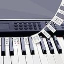 Removable Piano Keyboard Note Labels for 88 Key Full Size Silicone Reusable No Need Stickers Piano Keyboard Lables for Beginners Comes with Box(Color)