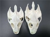 2 piezas de cráneos de animales reales / espécimen de exfoliación de animales reales / decoración ósea real
