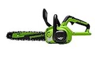 Greenworks 40V 12" Cordless Compact Chainsaw (Great for Storm Clean-Up, Pruning, and Camping), Tool Only
