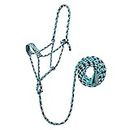 Weaver Leather Braided Rope Halter with 10' Lead,Turquoise/Brown/Tan