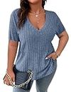 Gemulate Plus Size Dressy Clothing for Women Casual Tops Ladies Loose V Neck Office Shirts Short Sleeve Blouses Blue 1XL