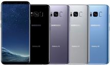 Samsung Galaxy S8 G950  64GB (Unlocked Libre) Smartphone - From Spain - Grade A
