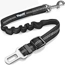 WapaW Pet Car Seat Belt - Car Harness for Dogs Adjustable Safety Seat Belt for Car. Durable Nylon Reflective Elastic with Bungee Buffer for Shock Attenuation (Bungee CAR Belt_Pack of 1, Black/Grey)