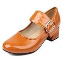 NeelyRisey Comfortable Mary Jane Pumps Women Block Low Heels Cute Dress Shoes Round Toe School Shoes Vintage Pumps Brown 12