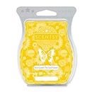 Scentsy Here Comes The Sun(Flowers) Bar