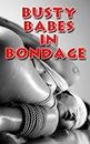 Busty Babes in Bondage - lesbian, bdsm, bondage, sadism, masochism, submission, new adult, action, adventure, pulp: suspense, romance, bbw, rubenesque, bisexual, Erotica/BDSM