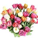 Stargazer Barn- XOXO 30 Assorted Fancy Tulips with Vase Prime Shipping Mothers Day, Fresh Cut, Mixed