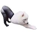 boxoon Mesh Dog Sock Stretchy Creative Funny Dog Clothing Accessory Dog Supply Long Pet Sock Dog Photo Prop