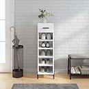 RAUGAJ Nice Cabinets & Storage-Shoe Cabinet High Gloss White 30x35x105 cm Madera de ingeniería