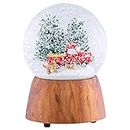 Red Truck with Dogs Cherry Woodgrain 6 x 4 Resin and Metal Holiday Musical Snow Globe