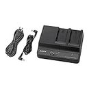 Sony BC-U 2 Battery Charging Unit Chargeur 100-240, 50/60, 177 mm, 137 mm, 53,2 mm, 650 g