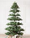Reggiseno Balsam Hill albero di Natale 6,5 piedi abete da montagna luci LED chiare