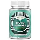 Liver Support Supplement with Zinc Oxide - Immune Support Supplement for Immunity Support with Silymarin Milk Thistle Extract Dandelion Root and Artichoke - Liver Health Supplement for Liver Cleanse