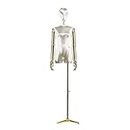 Mannequins Torso Female, Height Adjustable Manikin with Metal Arm and Base, Easy To Move Dress Forms and Mannequins, Used For Shop Window Jewelry Display (Color : Purple) (White)
