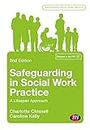 Safeguarding in Social Work Practice: A Lifespan Approach (Transforming Social Work Practice Series)