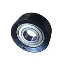 Keiser Fitness Replacement Idler Pulley - Tensioner and Bearing Fits Keiser M3, M3+, M3i, M3Xi Indoor Cycle Bike and M5 Elliptical