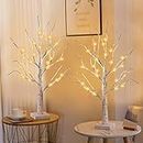 LED Lights Birch Tree, 2 Pack Branch Tree Lamp Christmas Decor, 24" Lighted Tree Light, USB/Battery Tabletop Tree Light with Timer Battery Powered for Home Festival Wedding Decoration