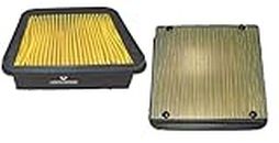 Leonardo Air Filter Compatible For TVS Apache 200 |Air Filter For Bike Motorcycle & Scooter High Capacity |Engine Air Filter & Optimal Efficiency |Pack of 1