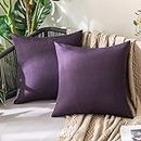 MIULEE Waterproof Outdoor Cushion Covers 16x16 Inches Set of 2 Water Resistant Decorative Throw Pillow Covers Outside for Garden Furniture Patio Couch Sofa Bed Balcony, 40x40cm Eggplant Purple
