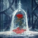 Beauty And The Beast Enchanted Preserved Red Rose with LED Night In Glass Dome