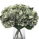 Kimura's Cabin 6pcs Fake White Flowers Artificial Silk Hydrangea Flowers Bouquets Faux Hydrangea Stems for Home Table Centerpieces Wedding Party Decoration (Mint Green)