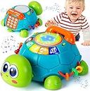 LULULIA Juguetes para bebés de 6 a 12 meses más, juguetes musicales de tortugas para bebés de 6 a 12 meses, juguetes sensoriales para autismo, para niñas de 1 año