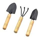 DCELLA Gardening Hand Tool Kit for Home Gardening, Garden Tool Kit for Home, Gardening Equipment, Scraping Turning Soil of Indoor, Outdoor pots, 3 Pcs (Hand Cultivator, Trowel, Transplanter)