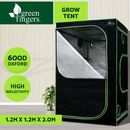 Greenfingers Grow Tent Kits Hydroponics Indor Reflective 1.2X1.2X2M 600D Oxford