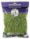 SuperMoss (26907) Spanish Moss Preserved, Grass, 4oz