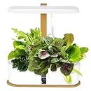 BJTYHT Hidropónicos Cultivar el Kit de arrancador de jardín de Hierbas for Interiores con LED Grow Light Smart Garden Planter Home Kitchen