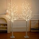 NOWSTO Lighted Birch Tree, 2 Pack 6 Feet 144 Warm White Lights, Prelit White Artificial Christmas Trees for Indoor Outdoor Decor Garden Wedding Party Bedroom Decoration 2PK
