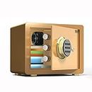 Caja fuerte de seguridad electrónica digital, caja fuerte para el hogar con llaves, cerradura digital para joyas, dinero, objetos de valor en efectivo (Tyrant Gold)
