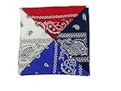 Purple Valley Unisex Cotton Bandana/Head Wrap/Wristband/Face Cover/Handkerchief for Men and Women (20 * 20cm, Pack of 4)