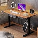 Radlove Height Adjustable Electric Standing Desk with Drawer, 55 x 30 Inch(140x76CM) Stand Up Workstation, Computer Desk with Splice Board, Home Office Ergonomic Desk, Brown Top + Black Frame