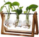 Terrario de plantas con soporte de madera maceta de aire bulbo de vidrio jarrón de metal jardín hogar 