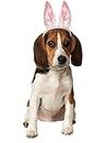 Rubie's Unisex Adult Bunny Ears - Size S-M Pet Accessory, White Pink, S-M UK