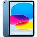 2022 Apple iPad (10.9-inch, Wi-Fi + Cellular, 256GB) - Blue (Renewed)