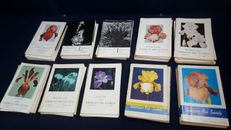 Lot 52 Bulletin of American Iris Society 1957-1969 Complete + Extras Good-VG