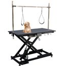 Livego Adjustable Height Heavy Duty Portable Pet Electric Grooming Table | 36 H x 49.6 W x 26 D in | Wayfair DAN327