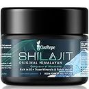 Shilajit Resina Shilajit del Himalaya purificada de alta potencia con minerales fúlvicos biodisponibles y ácido húmico, vegano, repone la energía (Pack of 1)