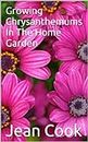 Growing Chrysanthemums In The Home Garden
