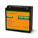 ECO-WORTHY 30Ah 12.8V Lithium Battery LiFePO4 Lithium Iron Phosphate Rechargeable with 3000+ Deep Cycles and BMS Protection Perfect for Shed/Boat/Lawn Mower/Ride on Car/Trolling Motor