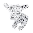 Toddler Infant Baby Boys Clothes Outfit Set Dinosaur Pullover Tops Sweatsuit Shirt Pants 2Pcs Clothing White 3-6 Months