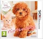 Nintendogs + Cats : Toy Poodle