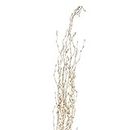 Green Floral Crafts - Gold Birch Branches, Pack of 16, 2-2.5 Ft Ballroom Gold Branch Tips