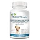 Nutrition Strength Immune Support for Dogs Plus Antioxidant, Reishi, Shiitake, Maitake, Turkey Tail Mushrooms for Dogs, with Coenzyme Q10, Nutritional Support for Dogs, 120 Chewable Tablets